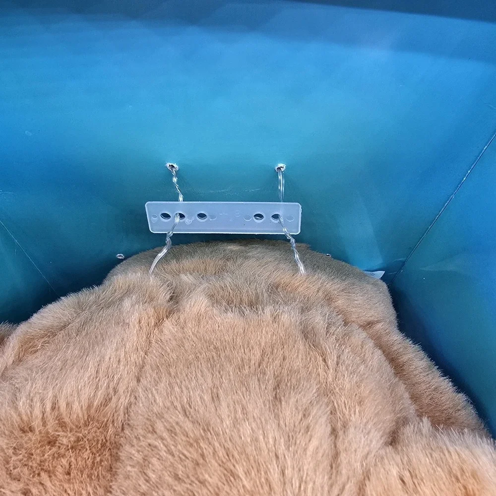 Rare Vintage Uneeda Talking Teddy Bear‎ 12